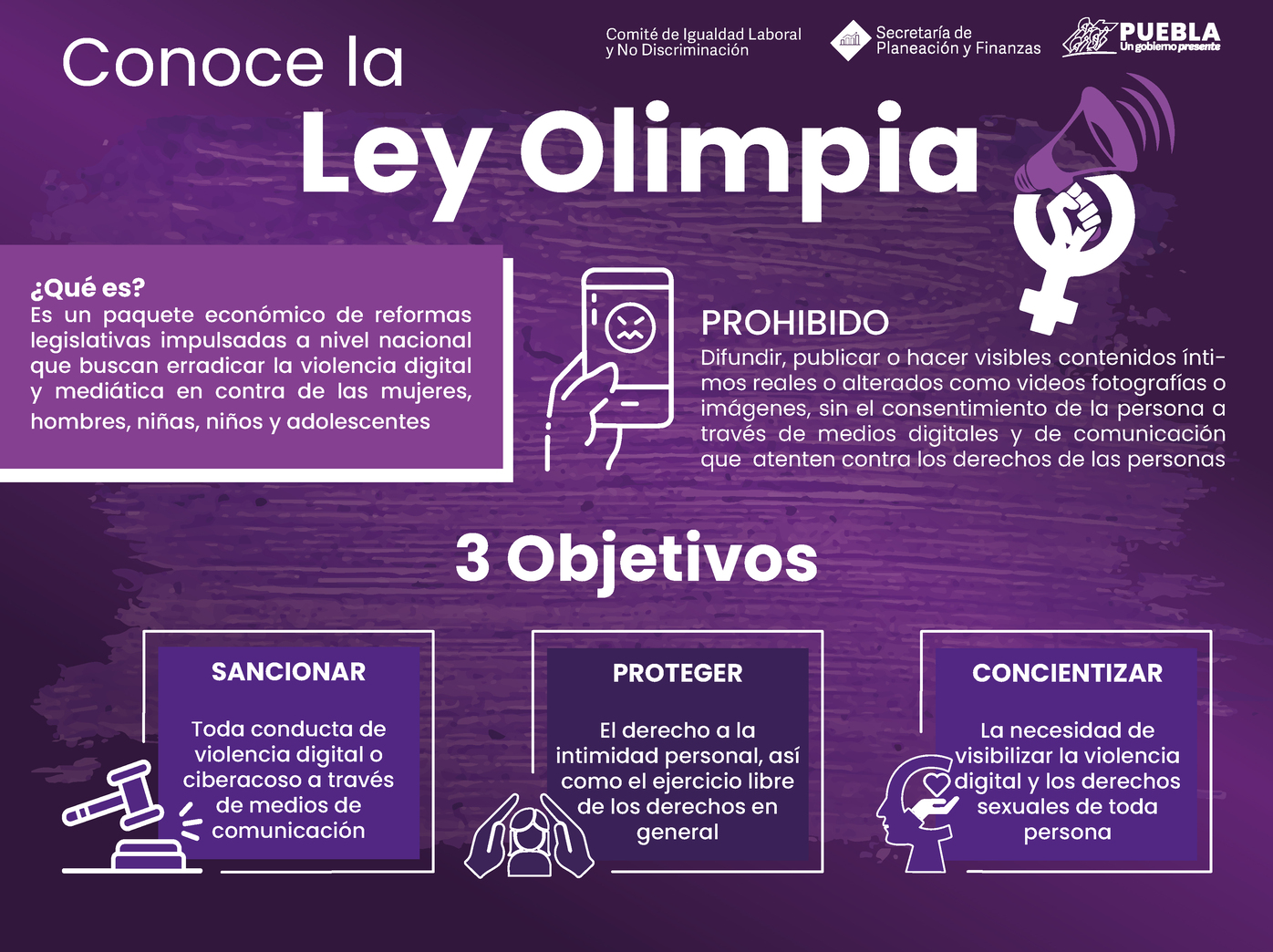 Infografía Conoce La Ley Olimpia